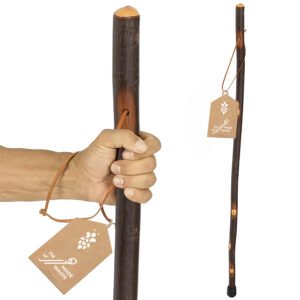 Hiking Stick